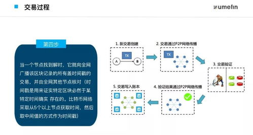 一張圖解析 區塊鏈交易的核心結構與技術生態全覽
